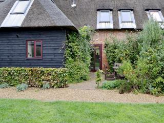 Chive - E4326 - Ludham - 0