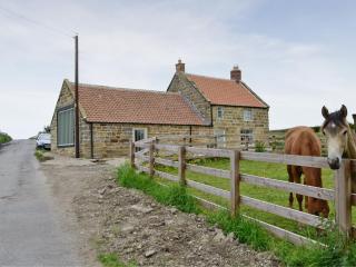 Shrubberies Cottage - Dc5472 - Skinningrove - 0
