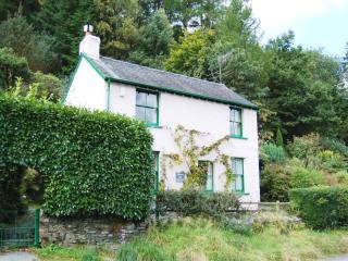 Thwaite Hill Cottage - Braithwaite - 0