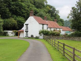 Ashberry Cottage - Rievaulx - 0