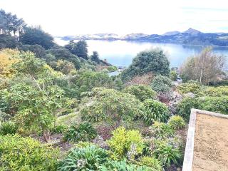 Weka St Eco Cabin - Dunedin - 6