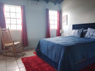 The Hidden Papaya - 3