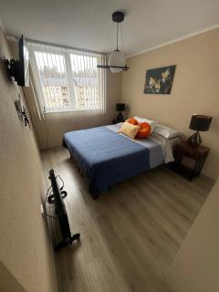 Departamento Pucon - 6