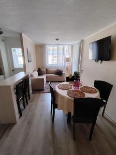 Departamento Pucon - 7