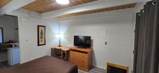 Flamingo Motel - Penticton - 1
