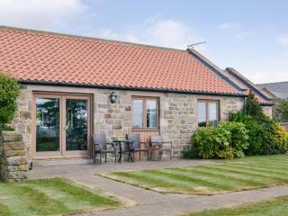 Buttercup Cottage - Ripley - 0