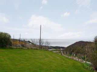 Colman Bach - Llangwnadl - 1
