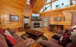 Bear Hiney Hideaway - 8