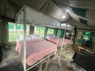 AMENITY TOURs & CAMPING - SERENGETI - Lukungu - 9