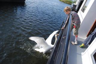 Hotelboot Zwaan - Amsterdam - 7