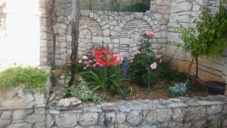Ruža - Skradin - 6