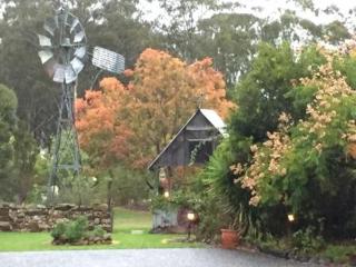 Glenrose Cottages - Warwick - 4