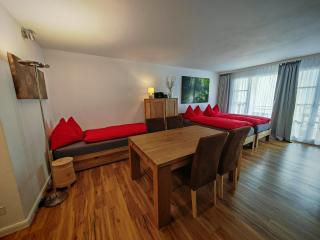 2 Zimmer 60m2 an der Talstation Jakobshorn neben Wander- und Mountainbikeparadise - Davos - 8