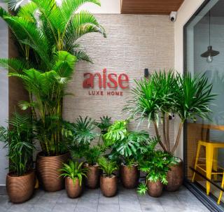 Anise Luxe Home - 7