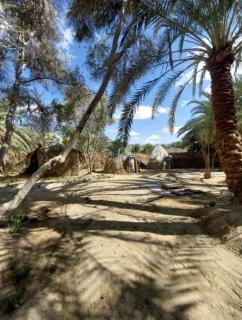 Amsa Damsa Camp - Siwa - 2