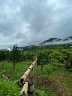 Sai Nam Ngoi Organic Farm and Camping - Muang Ngoy - 5