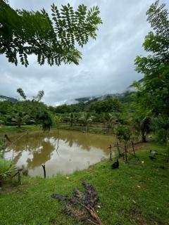 Sai Nam Ngoi Organic Farm and Camping - Muang Ngoy - 8