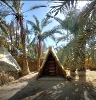 Amsa Damsa Camp - Siwa - 3