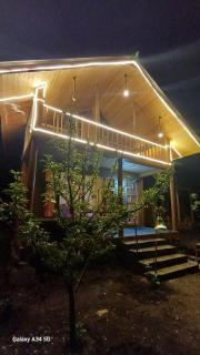 Wooden Duplex Cottage in Orchard Sainj Valley Stay - 7