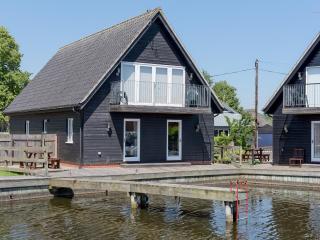 Puddle Inn Duck - Horning - 0