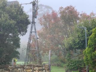 Glenrose Cottages - Warwick - 1