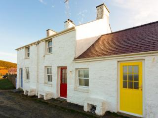 Yellow - Uk43117 - Clynnog-fawr - 0