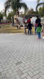 Mirpur house - - 3
