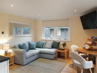 Leven Lodge 1 - Uk46042 - Balloch - 0