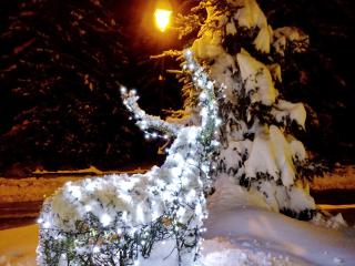 Hotel Boton D'Or & Wellness a La Thuile - 5