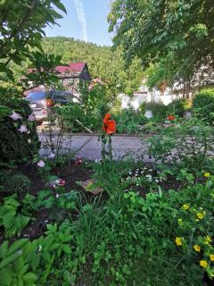 Pension im Tal der Stille - Treseburg - 7