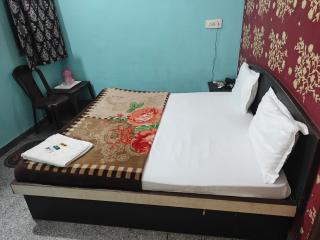 Hotel Pink City - Sīkar - 4