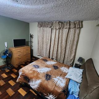 Lindo mini departamento - Lima - 2