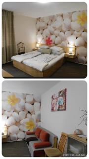 Marianna Wellness Apartman - Zalakaros - - Zalakaros - 9