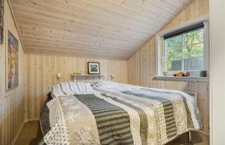 Cottage close to water and forest - with wilderness bath - Skjern - 6