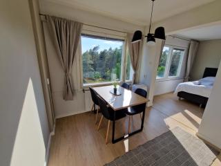 Cozy top-floor studio near the travel center and downtown, with AC and Wi-Fi - Lappeenranta - 5