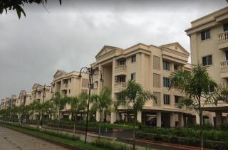 Wollywood Wada - Wada - 9