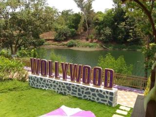 Wollywood Wada - Wada - 2