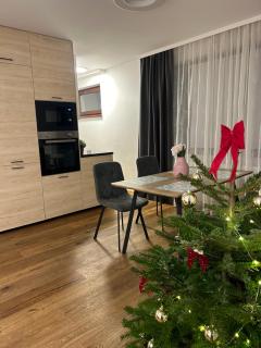 Stadt Vienna - 3