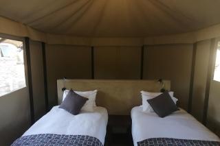 Willow Banks Lodge - Parys - 5