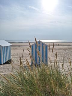 Happiness - Neufchâtel-Hardelot - 5