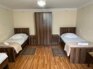 Nunu's Guesthouse - Zqaltubo - 2