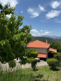 Kalavryta Villa Nano βίλα στο βουνό με τζάκι κοντά στο χιονοδρομικό - Kalavryta - 0
