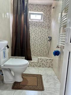 Nunu's Guesthouse - Zqaltubo - 6
