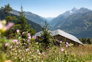 MGM Hôtels & Résidences - Résidence Alpen Lodge - La Rosière - 5