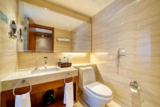 Huzhou Changxing New Zijin Hotel - Huzhou - 1