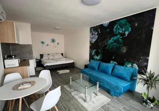 Hévíz Lux Apartmanház - Hévíz - 9
