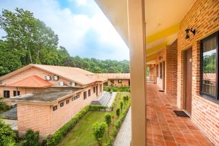 Badreni Jungle Resort, Sauraha - Bharatpur - 8