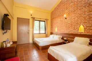 Badreni Jungle Resort, Sauraha - Bharatpur - 7