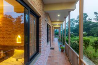 Badreni Jungle Resort, Sauraha - Bharatpur - 9