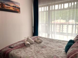 Luxury Apartment Tampa Residence BV - Braşov - 9